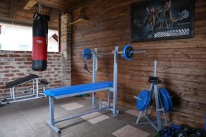 Fitness centrum a/nebo fitness zařízení v ubytování Gacka Valley