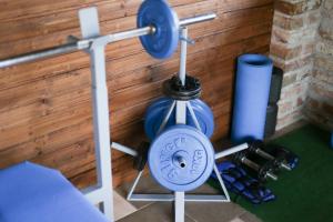Fitness centrum a/nebo fitness zařízení v ubytování Gacka Valley