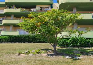 Zahrada ubytování Apartamento Vacacional en Platja D'Aro