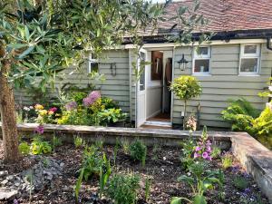 a small house with flowers in front of it at Olive Tree Cottage in Rye