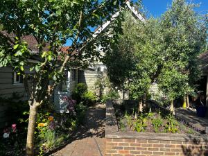 a garden in front of a house with trees at Olive Tree Cottage in Rye