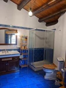 ein Bad mit einer Dusche, einem WC und einem Waschbecken in der Unterkunft Il Casale la Lupa in Nunziata