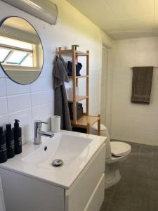 uma casa de banho com um lavatório, um WC e um espelho. em Sommerhus in grüner Natur em Nakskov