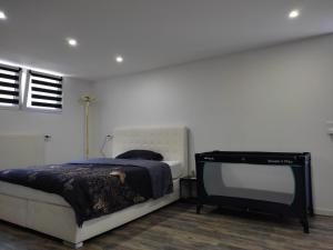 um quarto com uma cama e uma televisão em Studio 45m2 très calme em Village-Neuf