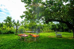 stół i krzesła na polu z drzewem w obiekcie Къща за гости Кала w mieście Patalenitsa