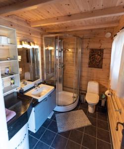 y baño con ducha, lavabo y aseo. en Cabin near the lake, en Årset