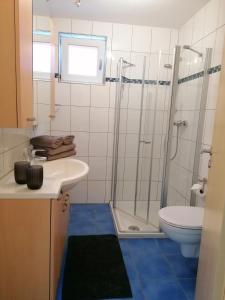 ein Bad mit einer Dusche, einem Waschbecken und einem WC in der Unterkunft Ferienwohnung Weingut Brutscher in Roschbach