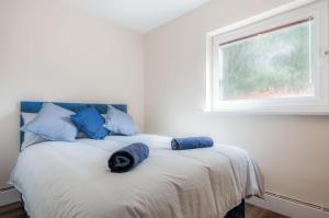 a bedroom with a bed with blue pillows and a window at Croft Court - 1 Bedroom Apartment - Tenby in Tenby
