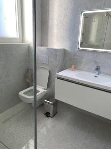 y baño con aseo, lavabo y espejo. en Casa Andra en Dumbrăviţa