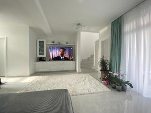 sala de estar con TV de pantalla plana en la pared en Casa Andra, en Dumbrăviţa