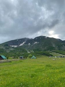 Paesaggio naturale nelle vicinanze dell'affittacamere