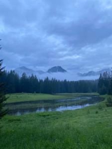 Paesaggio naturale nelle vicinanze dell'affittacamere