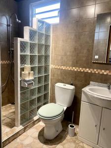 La salle de bains est pourvue de toilettes et d'un lavabo. dans l'établissement Fish Lodge, à Paea