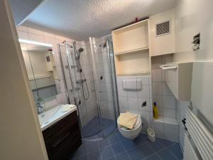 a bathroom with a shower and a toilet and a sink at Up de Kek im Friesenhaus Sieben Linden in Archsum