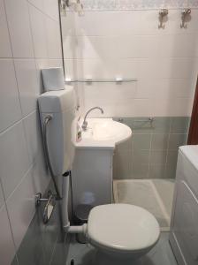 łazienka z toaletą i umywalką w obiekcie Casa Moratto in the heart of Buje w mieście Buje