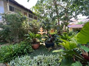 Zahrada ubytování Boracay Amor Apartment (Garden)