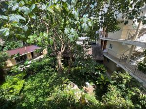 Zahrada ubytování Boracay Amor Apartment (Garden)