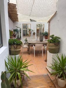 Billede fra billedgalleriet på El Patio Secreto i Alicante