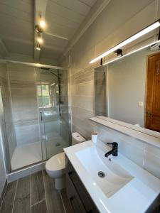 a bathroom with a sink and a shower and a toilet at La maison des commis in Morestel