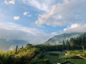 vista para uma plantação de chá nas montanhas em Chia Yuen Homestay em Fenqihu