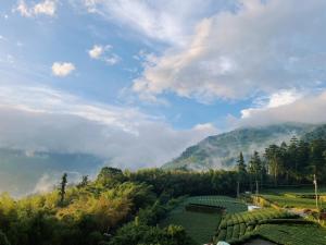 a view of a tea plantation in the mountains at Chia Yuen Homestay in Fenqihu