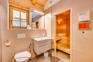 a bathroom with a shower and a toilet and a sink at Chalet am Teich in Neukirchen am Großvenediger