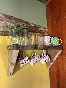 Fotografie z fotogalerie ubytování Foxglove eco lodge v destinaci Llanelli + 14 fotografií