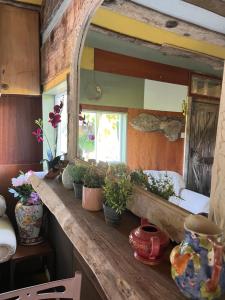 a room with a counter with potted plants on it at Foxglove lodge in Llanelli