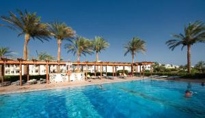 シャルム・エル・シェイクにあるSharm Resortのヤシの木が背景に広いスイミングプール