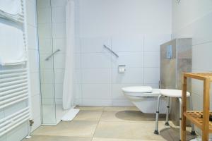 a bathroom with a toilet and a shower at Ame de la Terre in Ruffey-lès-Échirey +42 photos