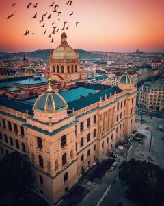 um grande edifício com pássaros voando sobre uma cidade em City Centre Praha 1 505 em Praga
