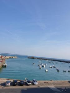 un grupo de coches estacionados en un puerto con barcos en Le Guépratte en Granville