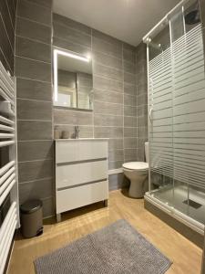 een badkamer met een wastafel, een toilet en een douche bij Le Paris Appart' T2 au centre du Mans in Le Mans