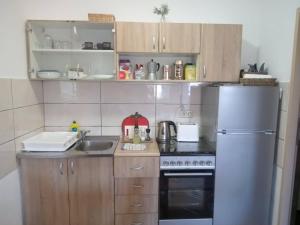 een kleine keuken met een koelkast en een wastafel bij CHEZ Marthe, Organic Farm stay in Knin