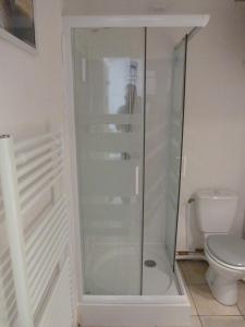 バイユーにあるstudio du parvisのバスルーム(ガラス張りのシャワー、トイレ付)