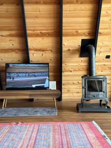 a living room with a television and a stove at Tlos Nature Houses in Yaka