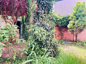 un jardin avec de nombreuses plantes et un bâtiment dans l'établissement Appartement meublé et rénové centre-ville Saint-Nazaire, à Saint-Nazaire