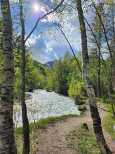 Príroda v okolí apartmánu