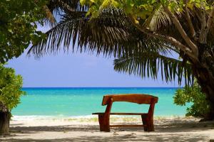 a chair sitting under a tree on the beach at Les Villas D'or in Baie Sainte Anne