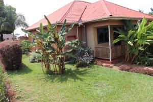 a house with a palm tree in the yard at Henotes B&B in Kamuli