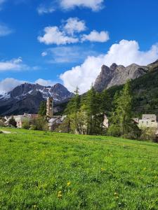 ein Feld mit grünem Gras und Bergen im Hintergrund in der Unterkunft La Petite Corneille - a chic and central studio. in Le Monêtier-les-Bains