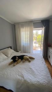 מיטה או מיטות בחדר ב-Black Sea