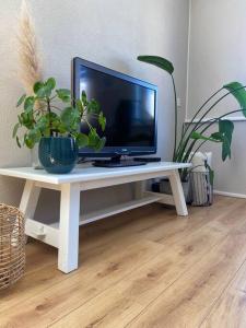 a tv on a white table with plants on it at Guesthouse Katwijk aan Zee in Katwijk aan Zee