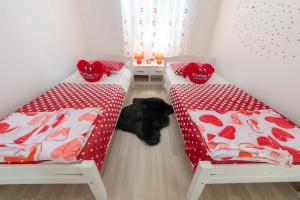 Gallery image of Apartments Trend in Rijeka