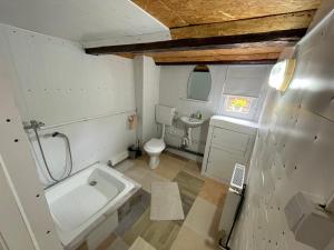 een kleine badkamer met een toilet en een wastafel bij Casa de oaspeți Cristina in Fitod