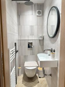 een badkamer met een wastafel, een toilet en een spiegel bij Apartment in the center of Agia Sophia in Thessaloniki