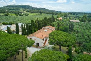 een luchtzicht op een huis in de bomen bij Antichi Palmenti - Rosmarino in San Vincenzo