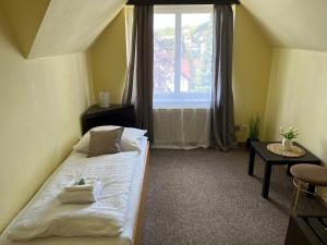 ルハチョヴィツェにあるHotel Lužnáの小さなベッドルーム(ベッド1台、窓付)