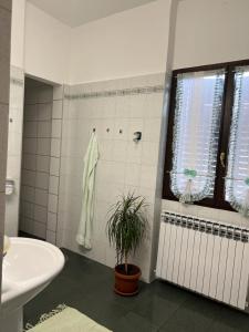 baño con lavabo y ducha con planta en Rooms Aida, en Pula