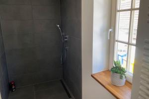 a bathroom with a shower with a glass door at Nice Apartment in Eschborn in Eschborn +34 photos